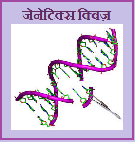 GK Questions and Answers on Genetics